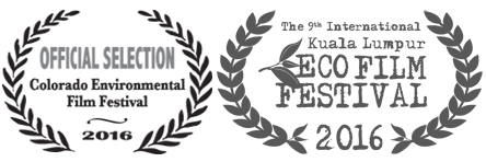 filmfestivallaurels